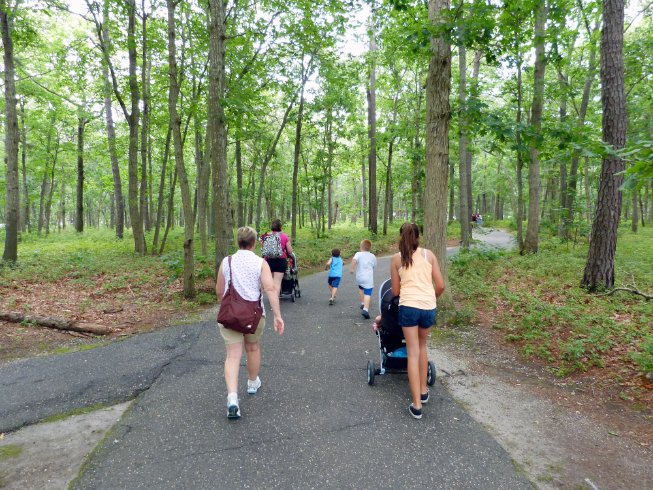 Arriving at the Cape May Zoo